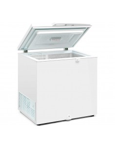 Arcon Congelador Masquefrio Mod. HC170 SIF