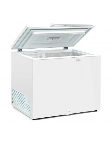 Arcon Congelador Masquefrio Mod. HC 240 SIF