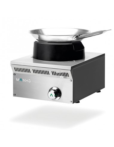 Cocina wok Mainho Mod. ELW-41G, a gas