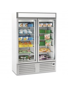 Expositor de congelados Infrico Mod. NEC1002FV