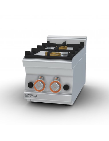 Cocina 2 fuegos sobremesa Lotus Mod. PCT-63G, a...
