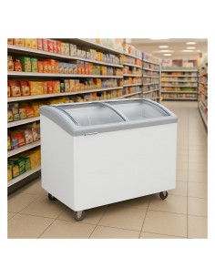 Arcon congelador EUTRON Mod. SD280, puertas de cristal 2