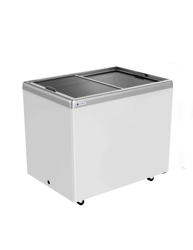 Arcon congelador EUTRON Mod. SD300F, puertas de...