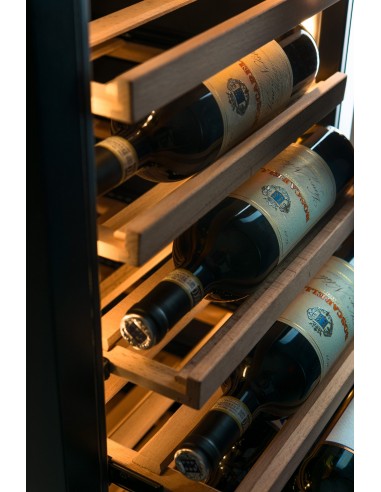 Armario expositor refrigerado de vinos Horekus...